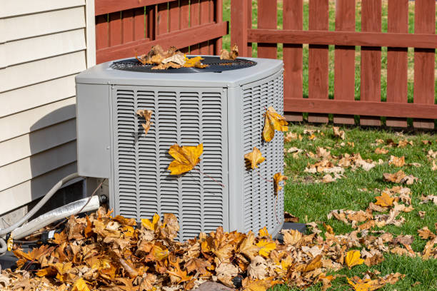 Best Furnace Repair Near Me  in Zephyrhills North, FL