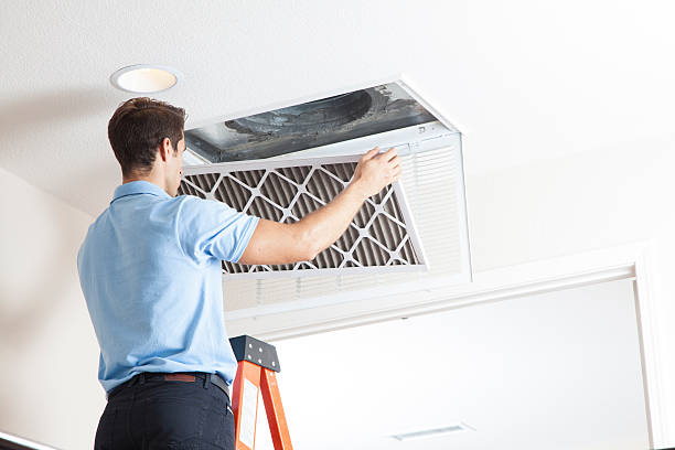 Best HVAC Tune-Up Services  in Zephyrhills North, FL